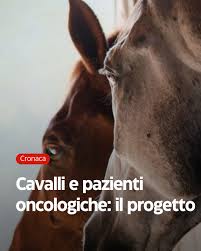 23 FEBBRAIO 2026 – INCONTRI – Al via un progetto con i cavalli per le pazienti oncologiche