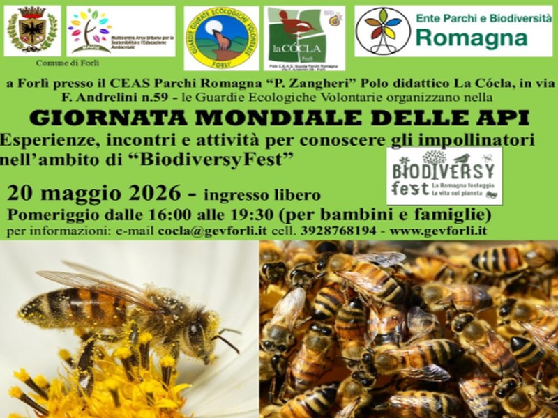 20 MAGGIO 2026 – INCONTRI – Giornata Mondiale delle Api presso polo didattico Parco Zangheri